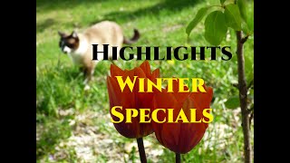 Winter Specials 202223 Gardeners World Highlights from The Little Garden of Monfestino Italy [upl. by Narruc]