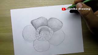 how to draw rafflesia flower [upl. by Quinton]