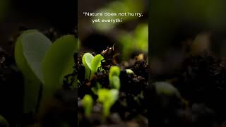 Nature does not hurry laotzuquotes naturewisdom [upl. by Schwitzer]