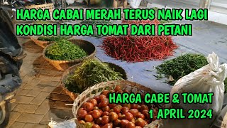 Info Harga cabai merah besar hari ini 1 APRIL 2024 [upl. by Jara]