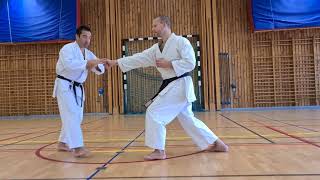 Hangetsu  Important points of the kata [upl. by Enilec]