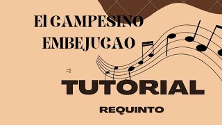 Como tocar el campesino embejucao tutorial requinto intro [upl. by Chaing]