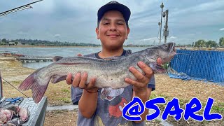 FISHING BEFORE HURRICANE HILARY🔥ACTIVE CATFISH BITE SANTA ANA RIVER LAKES  SUMMER AUG 2023🎣🤙🏽 [upl. by Dacia182]