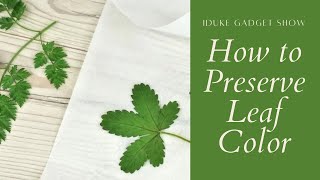 How to Preserve Leaves [upl. by Bahr109]