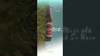 KingfisherBeer [upl. by Yrmac]