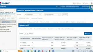 SIRE 2024  Guia para ver tus ventas y compras  SUNAT [upl. by Yager270]