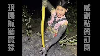 Amazing 看漂亮小妹如何從洞裏用手抓出來！ Pretty Girl Catching Eel Fishs 漂亮女孩抓黃鱔 粗大！ 滑溜！ 很色的黃鱔， 黄鳝 Eel [upl. by Ymiaj]