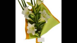 Florerias Tu jardin flores y regalos tujardinonlinecomar [upl. by Ferrel]