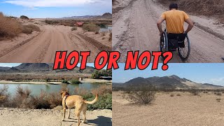 WE SPENT 3 NIGHTS CAMPING IN THE MOJAVE DESERT  Wheelchair RV Life [upl. by Teyugn]