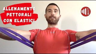 ALLENAMENTO COMPLETO PETTORALI CON ELASTICI [upl. by Nageet]