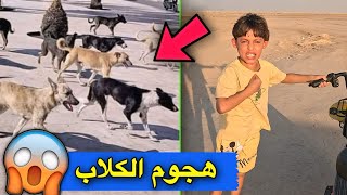 اكثر من 5 كلاب 🐕 هجمت على دانيال 😱  ماتوقعنا الي صار 😨 [upl. by Ainorev]