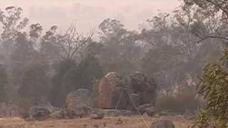 Aeolian harp after bushfires [upl. by Sherburne249]