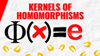 Kernels of Homomorphisms  Abstract Algebra [upl. by Yrolg]