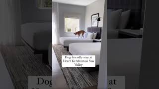 Hotel Ketchum in Sun Valley Idaho is 100 dog approved [upl. by Tallula]