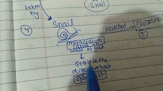 Life cycle of Dicrocoelium dendriticum 📝 Trematodes officialSaNik [upl. by Eachern442]