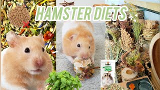 Hamster Diets  What to Feed your Hamster  How much and how often to Feed your Pet 🐹🍄🌿 [upl. by Jaclyn]