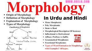 Morphology Word Formation In Morphology Morphological Analysis Sentence Types Of Morpheme PDF [upl. by Hctub]