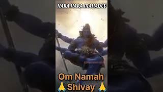 Mahadev ki bhakti shorts a🕉️🙏💫shorts mahadev [upl. by Alamat]