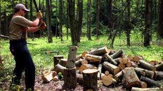 Splitting firewood with my Fiskars [upl. by Weitzman828]