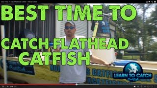 Best Time To Catch Flathead Catfish  Yellow Catfish [upl. by Erna]