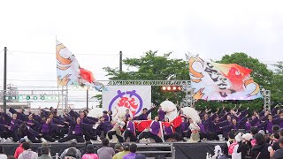 4K 福井大学よっしゃこい 犬山踊芸祭 2024 日曜日 [upl. by Juback]