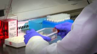 Cell Culture  Tips amp Tricks [upl. by Llenehc]