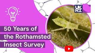 50 Years of the Rothamsted Insect Survey Protecting Crops and Ecosystems Globally [upl. by Seka989]