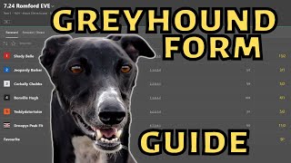 GREYHOUND BETTING  How to read Greyhound form [upl. by Brenna]