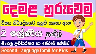 Tamil language lessons for grade 2  punchi danuma school [upl. by Speroni893]