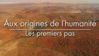 LINCROYABLE Odyssée Humaine  Qui sont nos ancêtres   DOCUMENTAIRE Histoire Science Vie [upl. by Hendel]