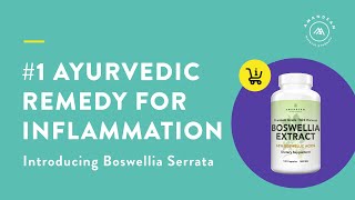 Boswellia Serrata  Powerful Natural AntiInflammatory [upl. by Wanonah]