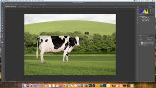 How to insert an image into another image Photoshop  EASY EXPLANATION [upl. by Ketchum]