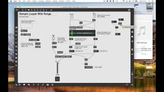 Max Sample Looper [upl. by Aslehc]