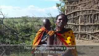 Maasai Voices on Climate Change A Participatory Video [upl. by Schuman733]