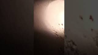 4k Ultra View of Moon in binoculars 700X ZooM [upl. by Jarl]