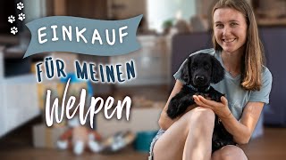 ERSTAUSSTATTUNGSHAUL für meinen Hund [upl. by Munsey]