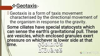 Positive geotaxis and negative phototaxis [upl. by Kirst]