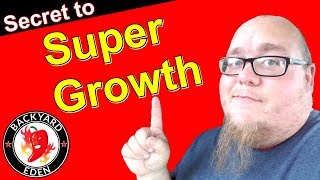 How to fertilize plants  The secret to super growth [upl. by Cohin]