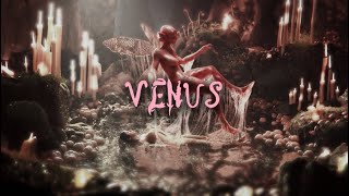 Melanie Martinez  VENUS EXTENDED  LYRICS [upl. by Eelik]