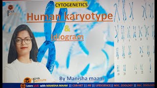 CYTOGENETICS  HUMAN KARYOTYPE amp IDIOGRAM  MSC ZOOLOGY SEM 4TH  by Manisha maam [upl. by Aire]