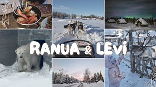 Ranua amp Levi  Finland  Husky Rides  Polar Bear Zoo  Igloo Hotel  King Crab [upl. by Guyer]