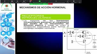 GENERALIDADES DE ENDOCRINOLOGÍA [upl. by Ztnahc]