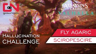 AC Valhalla Fly Agaric Hallucination Challenge  Fire Mushrooms Sciropescire Mystery [upl. by Orhtej663]