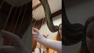 Nutcracker Harp Cadenza [upl. by Ioab729]