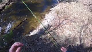 33 The Little Manistee MI  Fishing the Top 100 Trout Streams in America [upl. by Eiclehc]