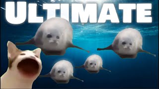 Bouncing Seals ULTIMATE 2022 [upl. by Erena]