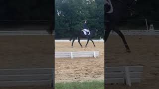 Novice test B 32 eventing turnitup bmecitsyourmove dressage hardwork [upl. by Yeneffit]