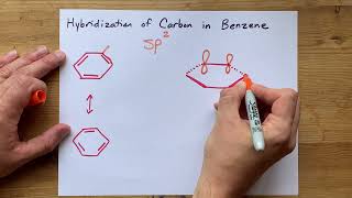 Hybridization of Carbon in Benzene [upl. by Gaughan27]