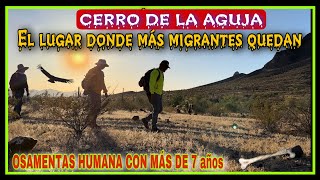 LA BÚSQUEDA DE MIGRANTES PERDIDOS EN EL DESIERTO DE ARIZONA CERRÓ LA AGUJA DÍA 1 [upl. by Apgar]