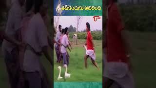 తడికెందుకు అదిరింది సాంగ్  Venkatesh  Meena  Abbayigaru Movie Songs shorts youtubeshorts [upl. by Chang605]